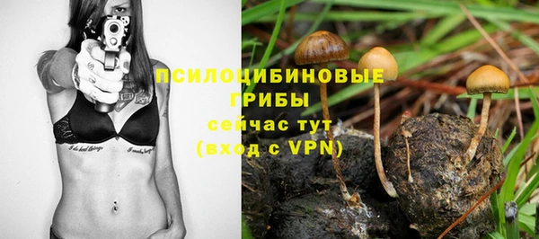 соль ск Верея